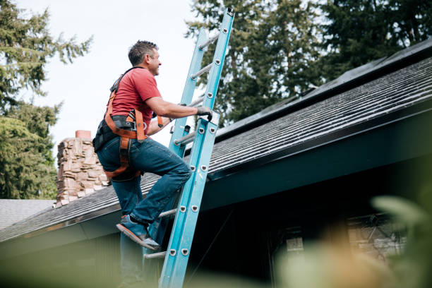 Professional Roofing Services in Resaca, GA